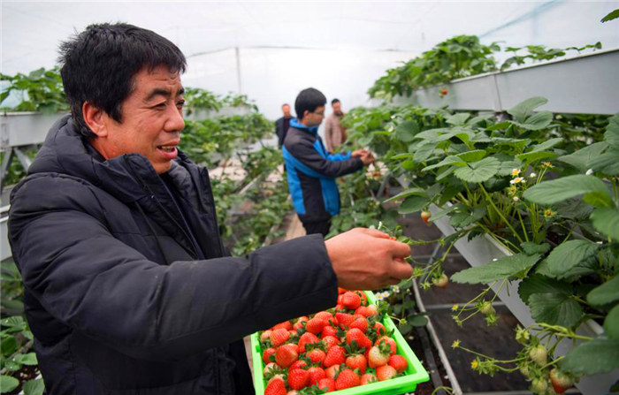 渭南华州区入选全国农民合作社质量提升整县推进试点单位