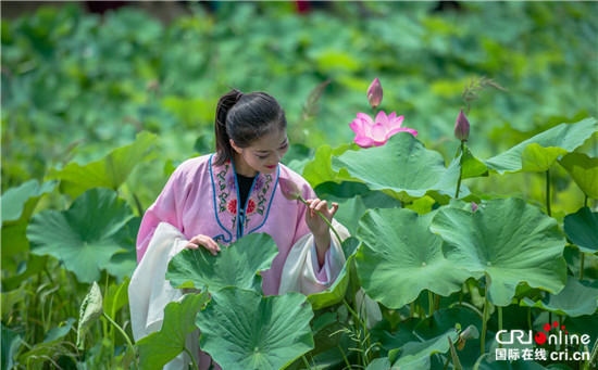 (供稿 旅游列表 三吴大地南京 移动版）第十届高淳固城湖水慢城荷花旅游节开幕