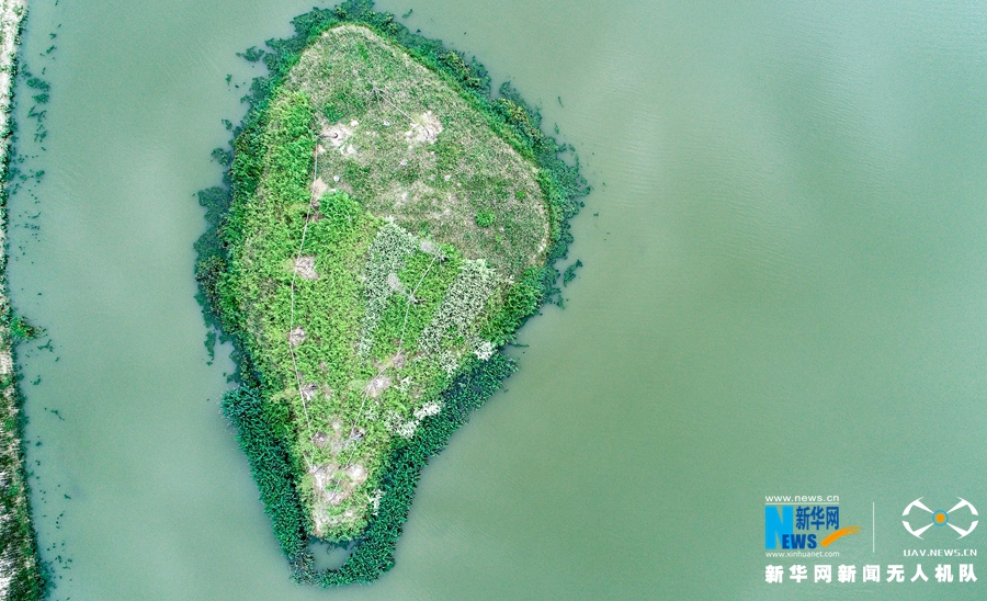 福建湄洲島“治水”展露生態美景