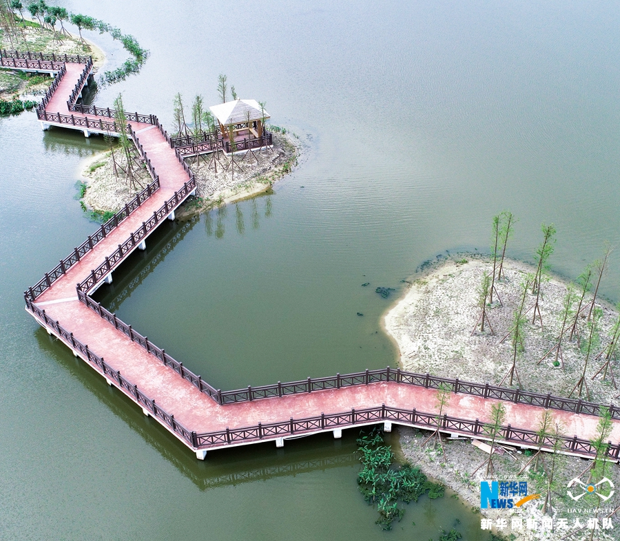 福建湄洲岛“治水”展露生态美景