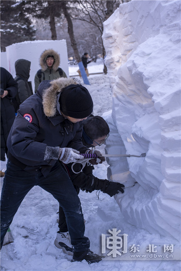 哈工程校園雪雕大賽開鏟 30分鐘速雕引圍觀