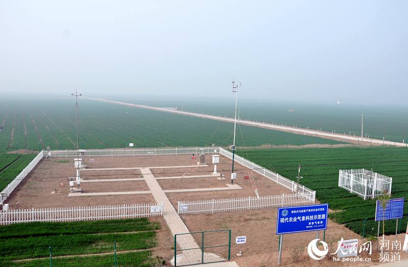 【焦点图-大图】【移动端-轮播图】“豫北粮仓”滑县：连续30年坐稳粮产“头把交椅”