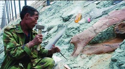 山东“恐龙足迹”地图出炉！带你探秘侏罗纪世界