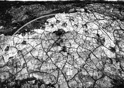 山东“恐龙足迹”地图出炉！带你探秘侏罗纪世界