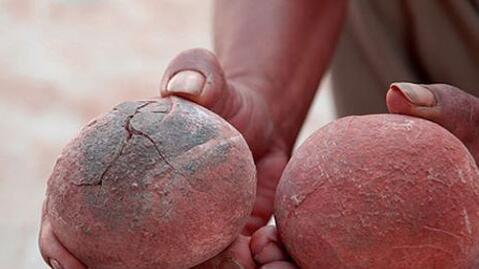 山东“恐龙足迹”地图出炉！带你探秘侏罗纪世界