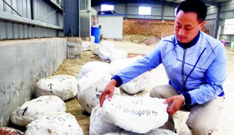 山东“恐龙足迹”地图出炉！带你探秘侏罗纪世界