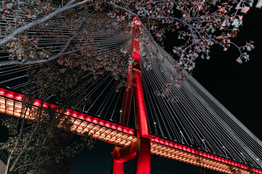 【飞“阅”中国】杨浦滨江：“工业锈带”蝶变“生活秀带”