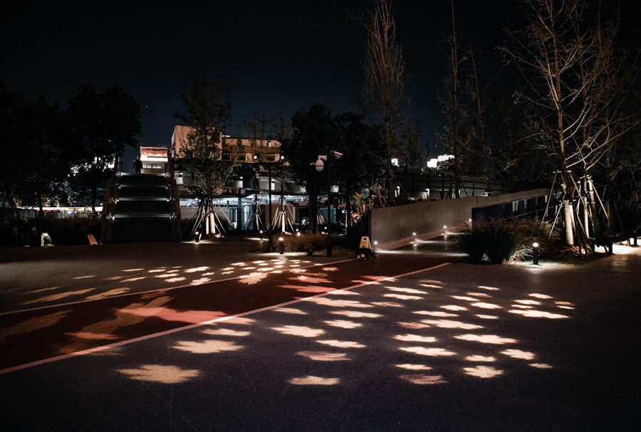 【飞“阅”中国】杨浦滨江：“工业锈带”蝶变“生活秀带”