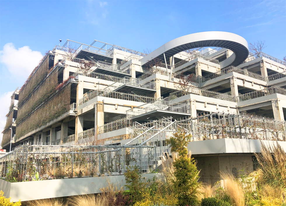 【飞“阅”中国】杨浦滨江：“工业锈带”蝶变“生活秀带”