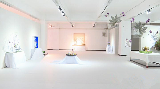 【聚焦重庆】“造境”——陈丽珊花道艺术周展览在渝举行