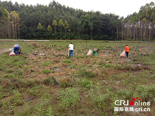 宜宾市宜宾县泥南镇党委政府开展生态环境保护专项整治行动