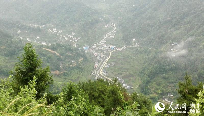 湖北宜昌：“三峡茶谷”风景美