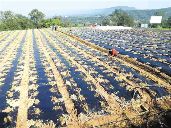 圖片默認標題_fororder_2019-12-26-008-250527-1