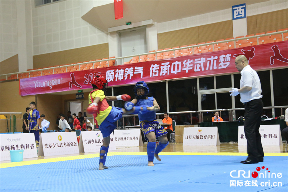 图片默认标题_fororder_5、小选手在2018北京第十五届少儿武术比赛散打项目中拳来脚往激战.JPG