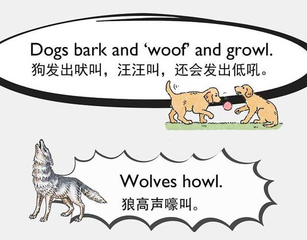 自然界中有各种声音 如何用英语来描述动物的叫声？