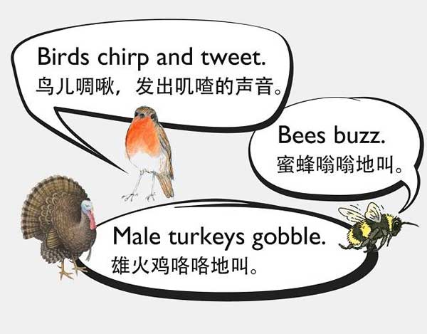 自然界中有各种声音 如何用英语来描述动物的叫声？