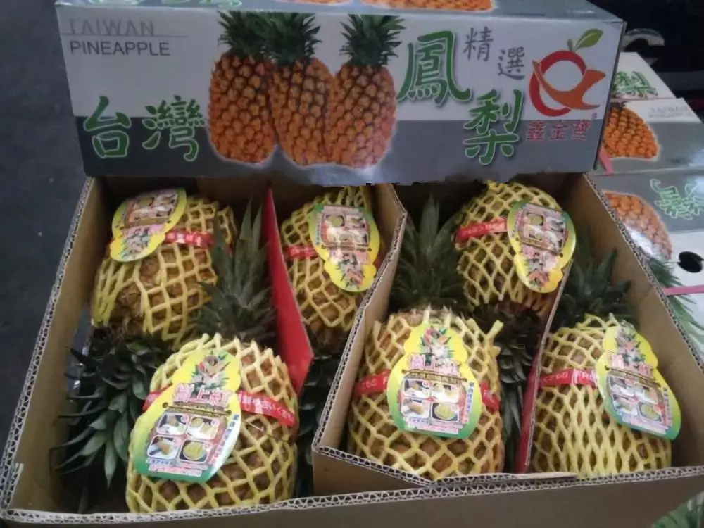 大陸菠蘿已滯銷，為什麼還要採購台灣鳳梨？