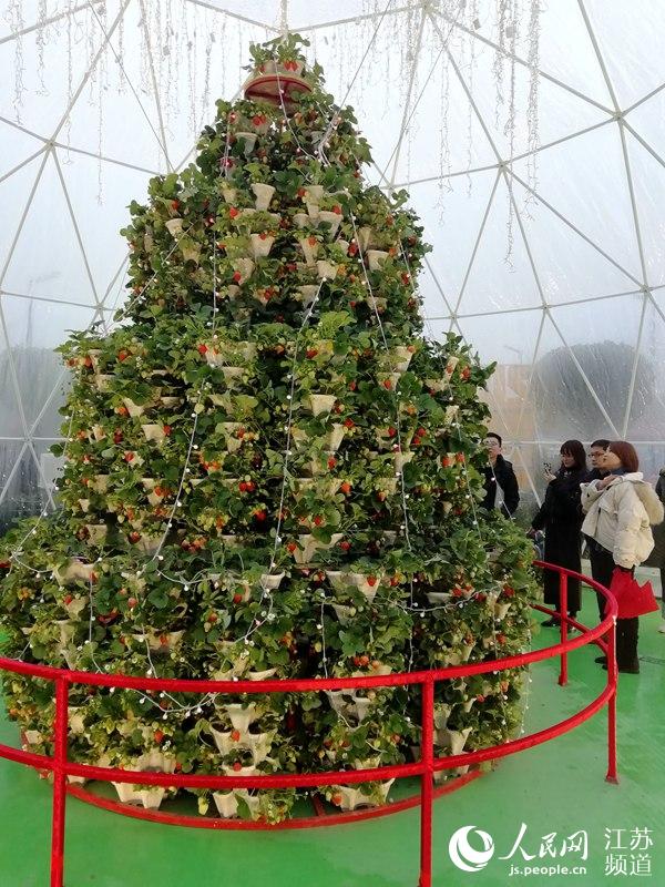 圖片默認標題_fororder_3