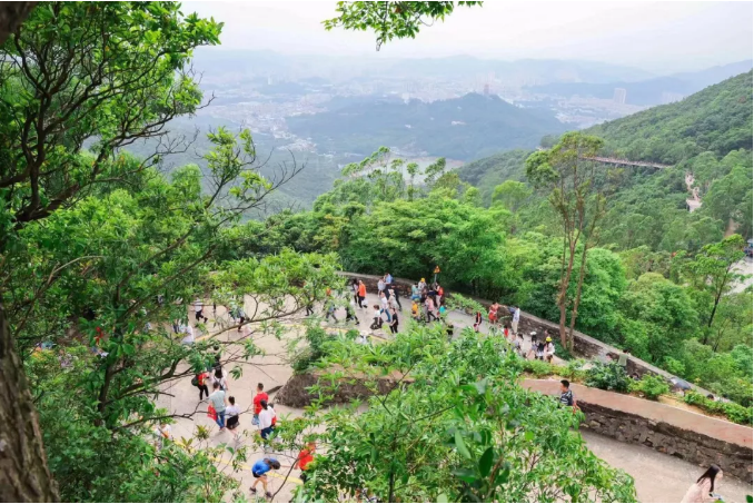 【企业频道+文旅映话+转载】东莞观音山成为生态保护样本