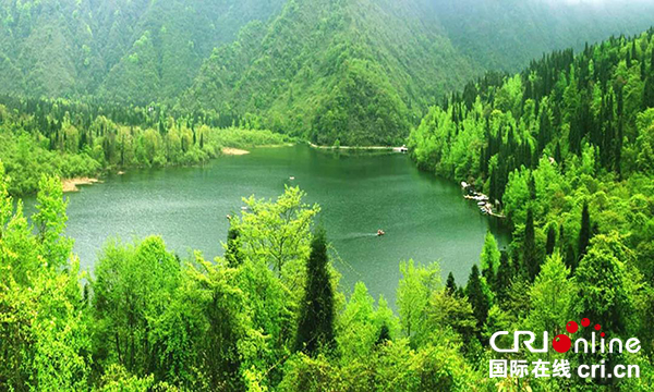 世界那麼大 大熊貓為何鍾情都江堰