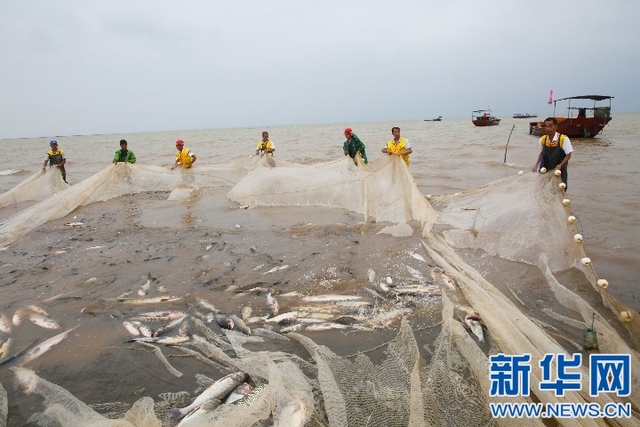 江西鄱阳湖“开渔节”受游客青睐