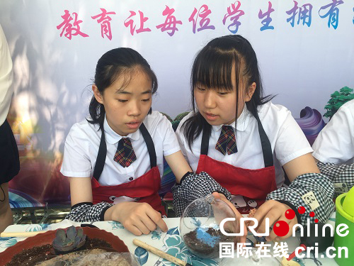 【黑龙江】哈尔滨乡村学校少年宫建设工作经验交流会在道里区举行
