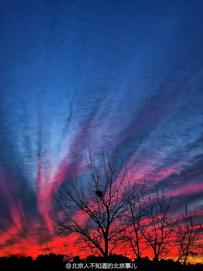 北京今早現冬日紅霞絢爛美圖刷爆網絡組圖