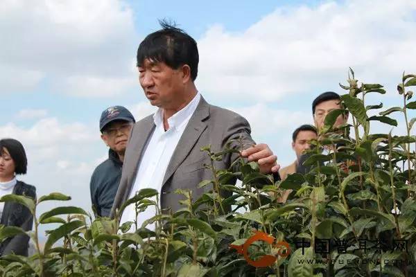 80后法官的审"虎"故事