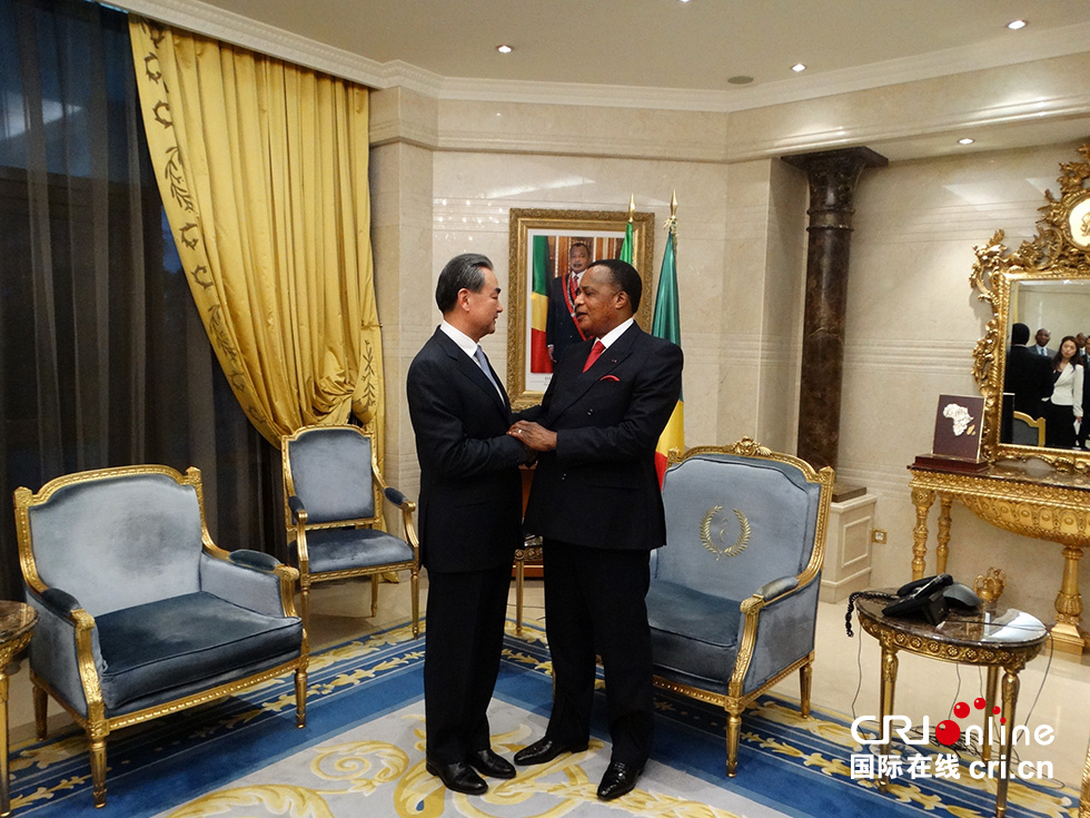 刚果共和国总统萨苏会见中国外长王毅
