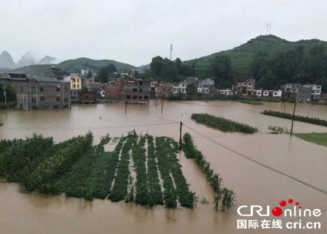 暴雨袭击贵州紫云 26990亩农作物受灾