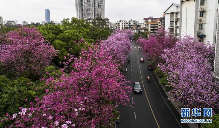 图片默认标题_fororder_liuzhou-4