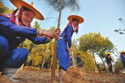 【头条下文字】【滚动新闻】 福建：矢志不移走绿色发展新路