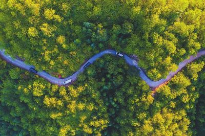 【头条下文字】【滚动新闻】 福建：矢志不移走绿色发展新路