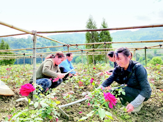 （大扶贫）拴牢利益链条摆脱贫困枷锁