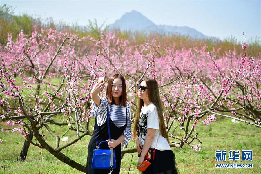 陕西：美丽长安花常开