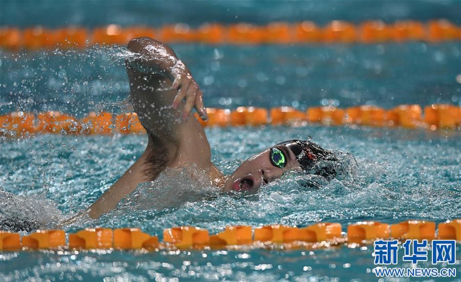 游泳——全国夏季游泳锦标赛赛况
