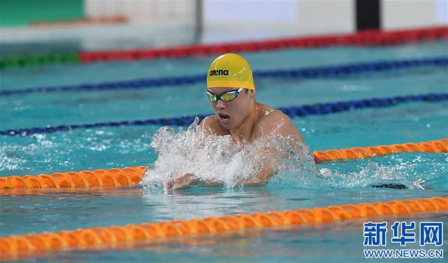 游泳——全国夏季游泳锦标赛赛况