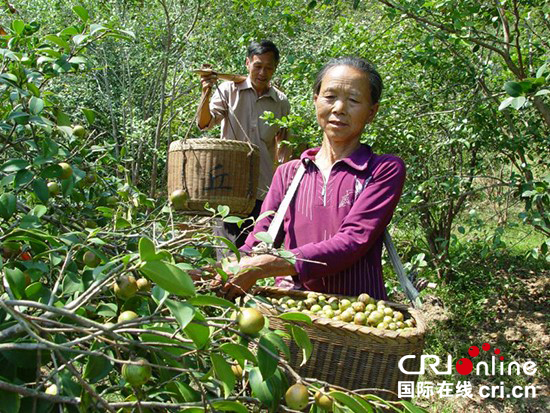 赣州市林下经济种养面积累计达1000万亩