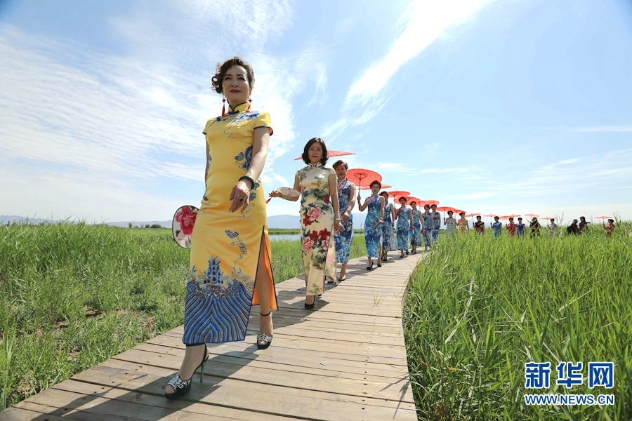 甘肅張掖：戈壁濕地上演“旗袍秀”