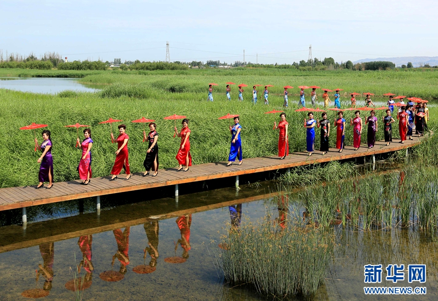 甘肃张掖：戈壁湿地上演“旗袍秀”