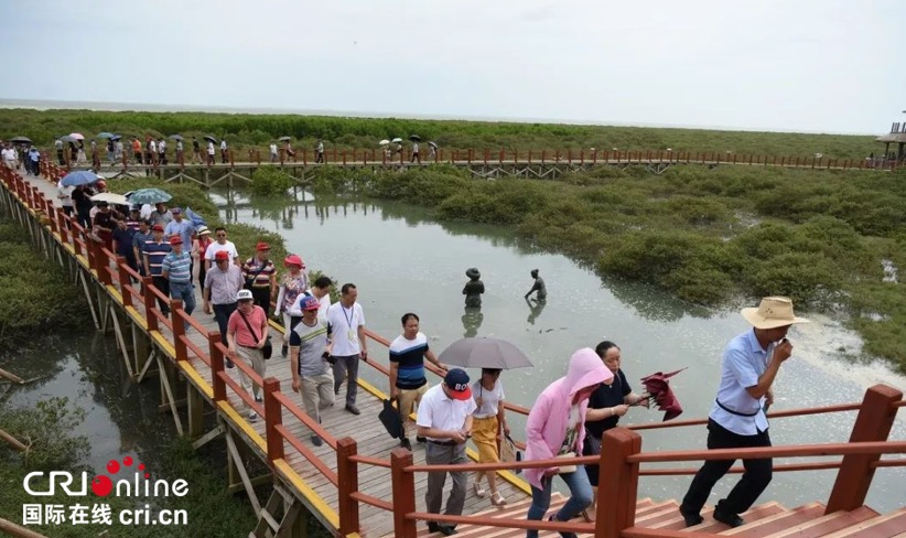 [唐已审]原创]全国烘焙专家聚焦合浦月饼小镇建设