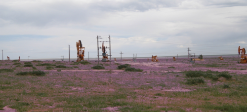 内蒙古鸿洋开发额合宝力格油田 为国家能源建设添砖加瓦
