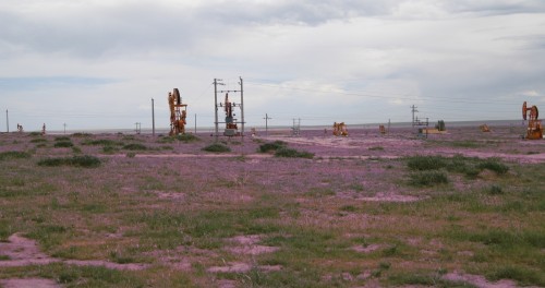 内蒙古鸿洋开发额合宝力格油田 为国家能源建设添砖加瓦