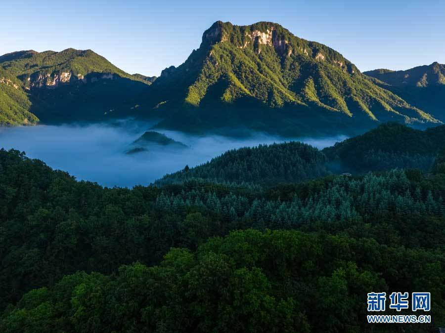 航拍神农架红坪画廊 晨雾弥漫满目清凉