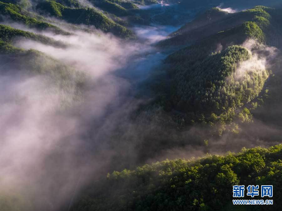 航拍神农架红坪画廊 晨雾弥漫满目清凉