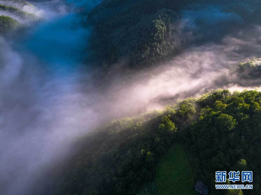 航拍神農架紅坪畫廊 晨霧瀰漫滿目清涼