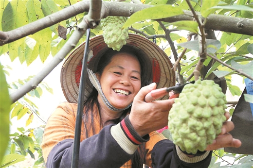 決勝脫貧奔小康