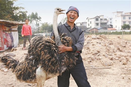 决胜脱贫奔小康