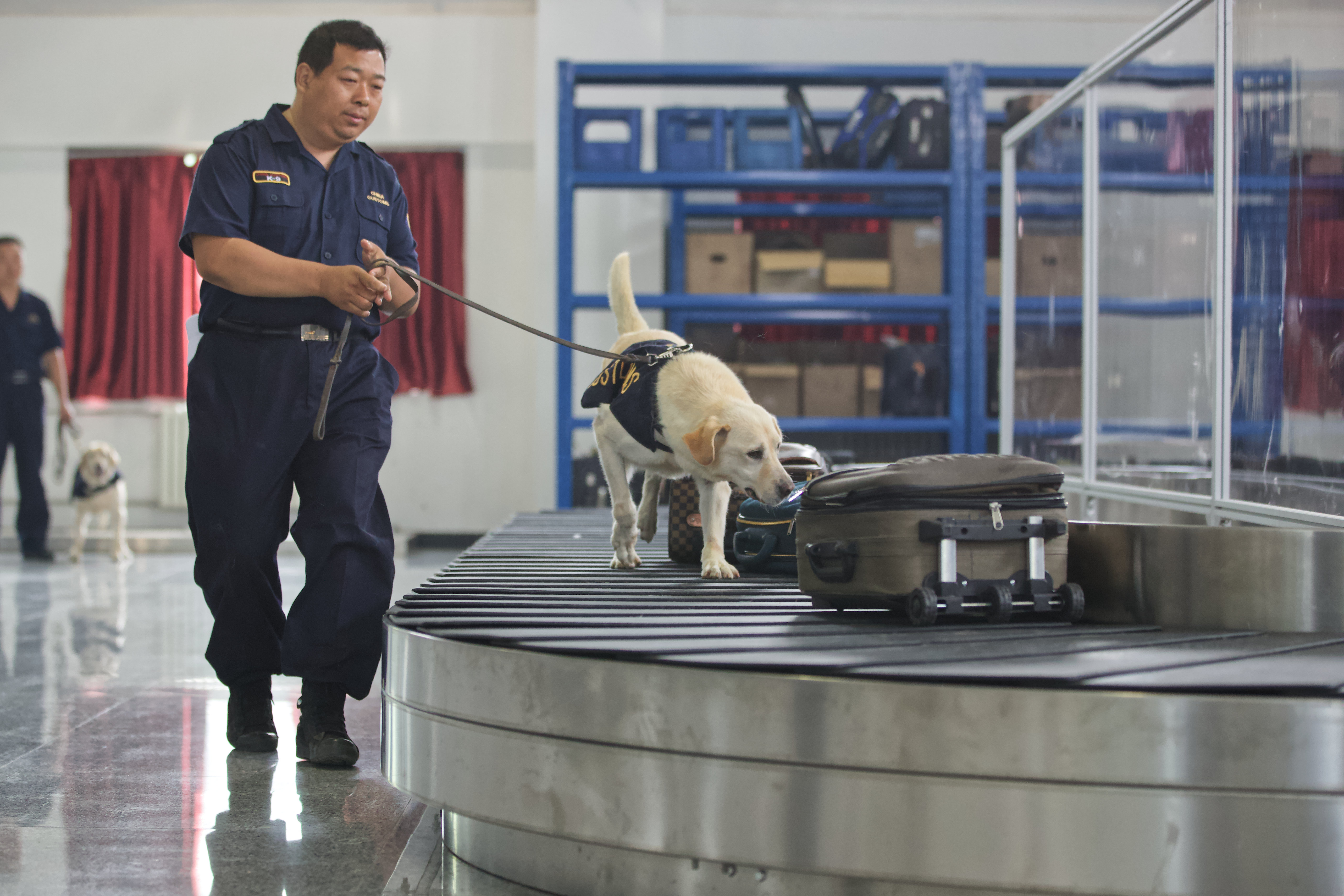 觀摩了萌犬們的訓練以及模擬掃毒演練,今天的直播到這裡也要和大家説再見了。_fororder_微信圖片_20180626181401