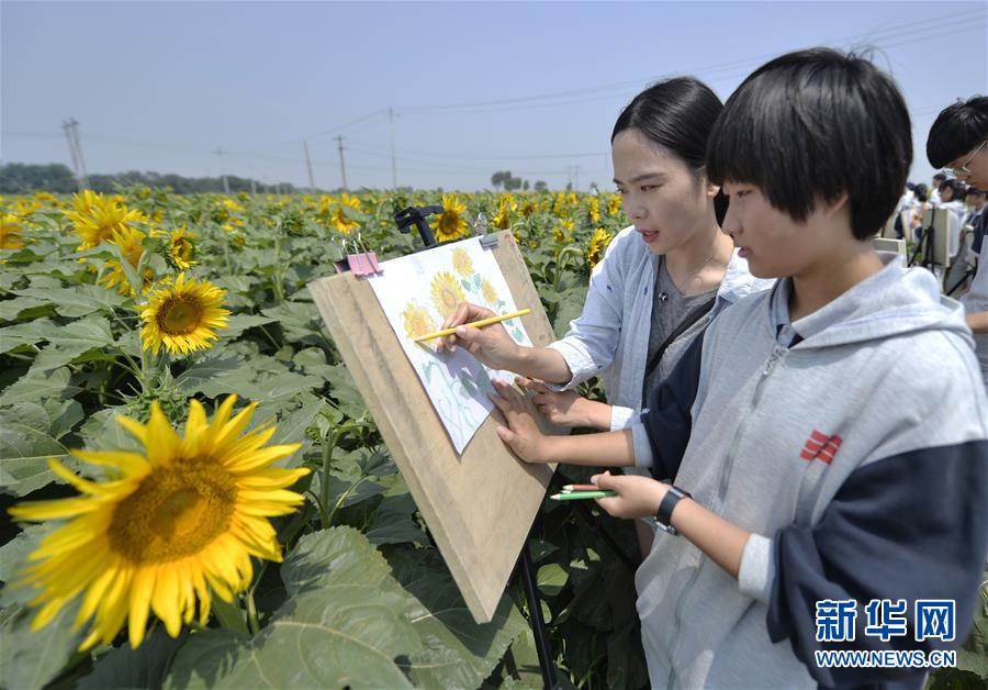 河北南宫：农旅融合助推乡村振兴